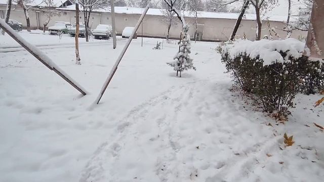 VLOG | Ташкент замело!!! ❄️ смотреть онлайн