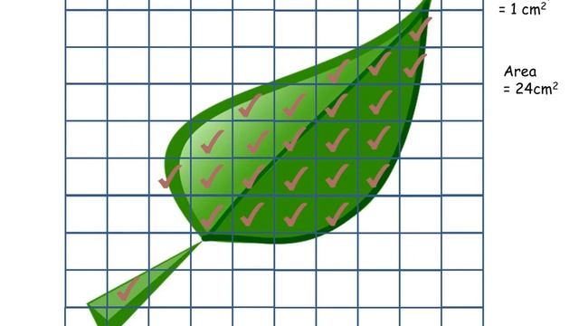 Stomatal density, Xylem, transpiration and the potometer. GCSE. смотреть онлайн