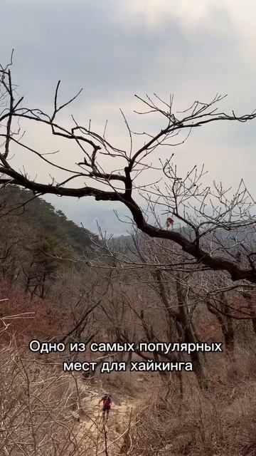 Хайкинг в Корее смотреть онлайн
