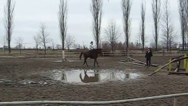 Марьяна прыгает смотреть онлайн