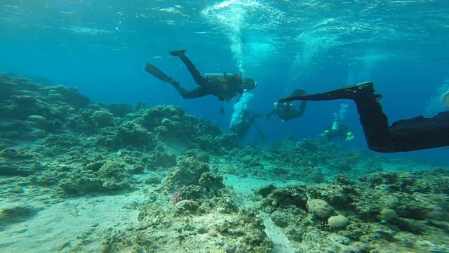 Дахаб Египет 2014 сентябрь смотреть онлайн