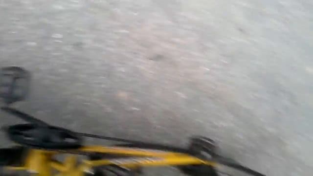 обезьяны на ко чанг смотреть онлайн