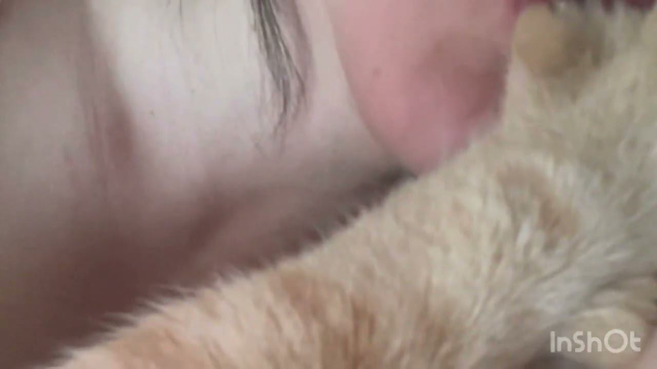Настоящая любовь! #love #animals #cat #youtubevideo #funny