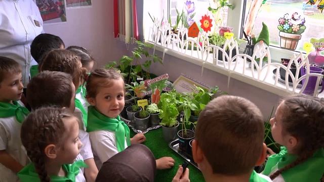 Всероссийский «День Эколят» отмечают ежегодно 25 апреля смотреть онлайн