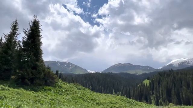 Kazakhstan. Almaty. Nature. Алма - Ата. Кусочки нашей природы. 11 июня 2022. смотреть онлайн