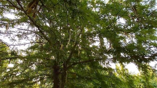 ИЗМЕНА жены.Как поступить если узнал об измене женщины.