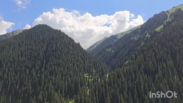 Киргизия. Алтын Арашан 080624 смотреть онлайн