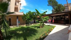 ALEXIUS BEACH HOTEL 4* (Туреччина, Кемер, Бельдібі) - огляд готелю від турагента -  2024