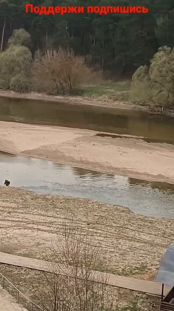 Центральный пляж Пахра Подольск смотреть онлайн