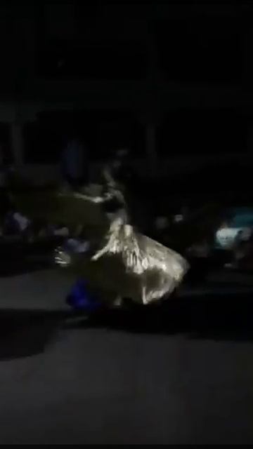 Ай-Тодор-Юг смотреть онлайн