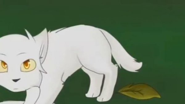 Коты- воители🔥Бим, бам, бум🔥