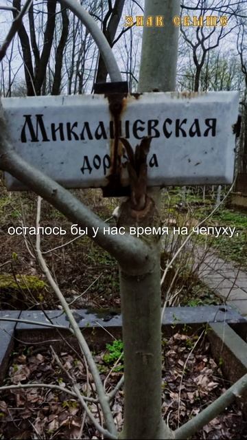 Береги душу #shorts #молитва смотреть онлайн