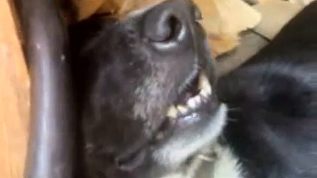 Охрана за работой смотреть онлайн