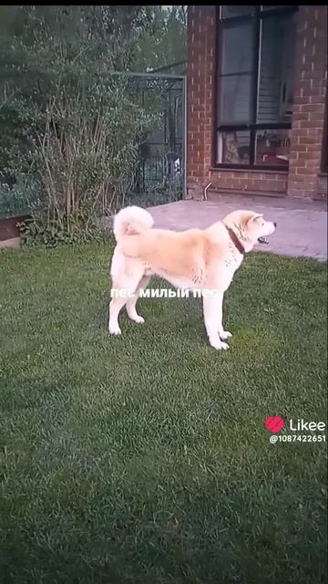 video_2025-04-25_21-55-51