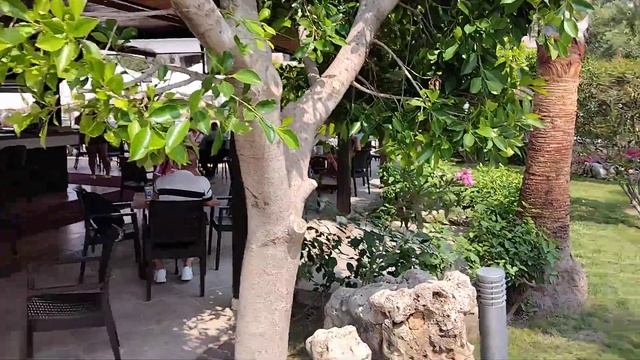 ALBA ROYAL HOTEL 5 Сиде, Турция 16+ - басейнът и градината (Инфотур TEZ TOUR) смотреть онлайн