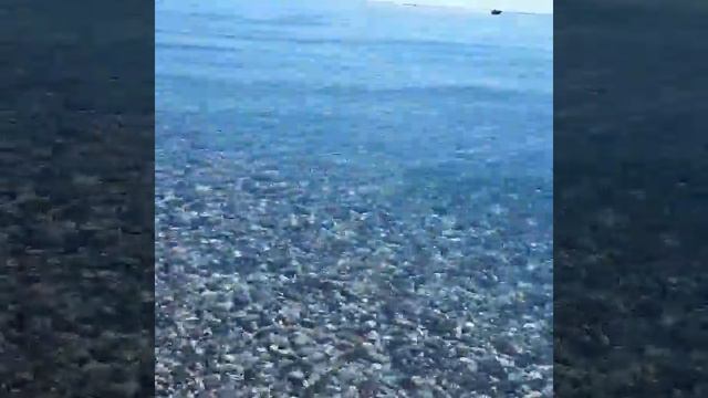 Alva Donna World Palace (вода в море). смотреть онлайн