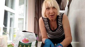 Петунячий день #эллапанкратова #еапатория