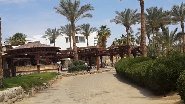 Египет территория отеля Queen Sharm Resort Egypt Beach Hotel Queen Sharm Resort