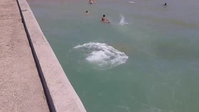 Новофедоровка,лучший пляж Крыма20.07.2015 смотреть онлайн