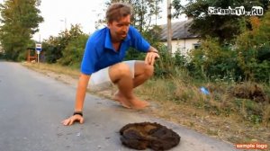 шоу идиоты какаха