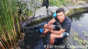 Биоплато на щебне.Уборка