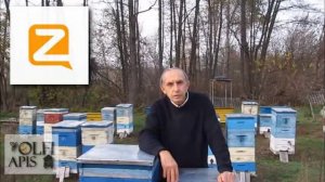 20.02.20 г. Z-рация, канал "Творческое пчеловодство" Малыхин В.Е., Апитерапия + другие вопросы !!!