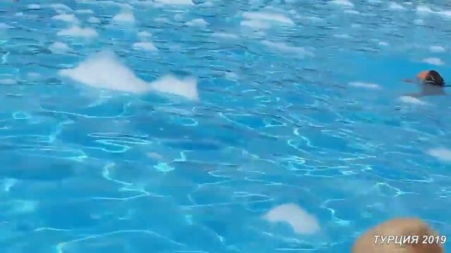 ОТДЫХ В ТУРЦИИ 2019 ГОД смотреть онлайн