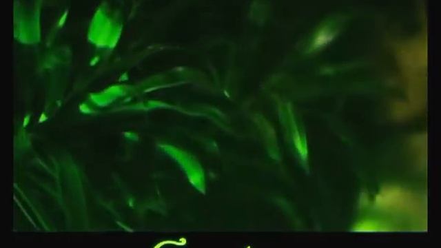 Ресторан «Garden» смотреть онлайн