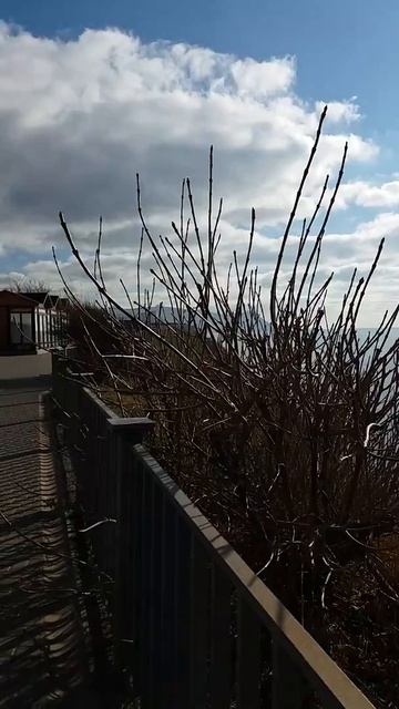 Анапа.Мой любимый Высокий берег#анапа#отдыхуморя#квартирапосуточно#моререлакс#здоровье смотреть онлайн