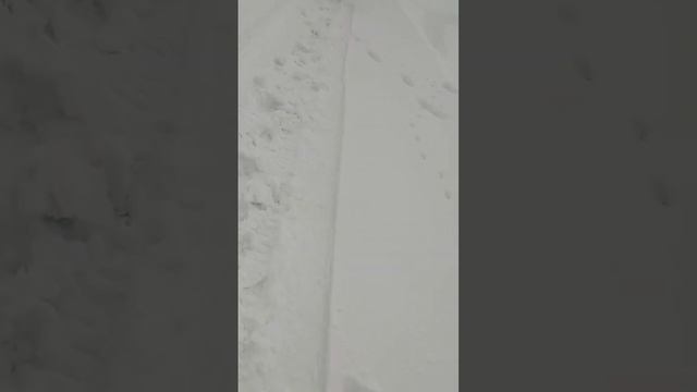 Роза хутор Сочи 5 ноября 2022. Отличная прогулка на 2300-2500 метров смотреть онлайн