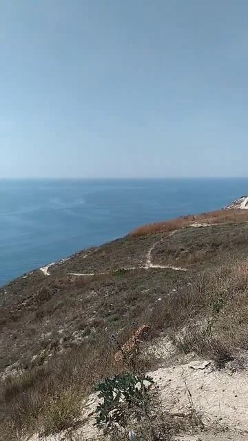 ☀️Анапа🌅 Супсех 🌊Чёрное море⛱️ Высокий берег 🏝️Июль 2023 смотреть онлайн