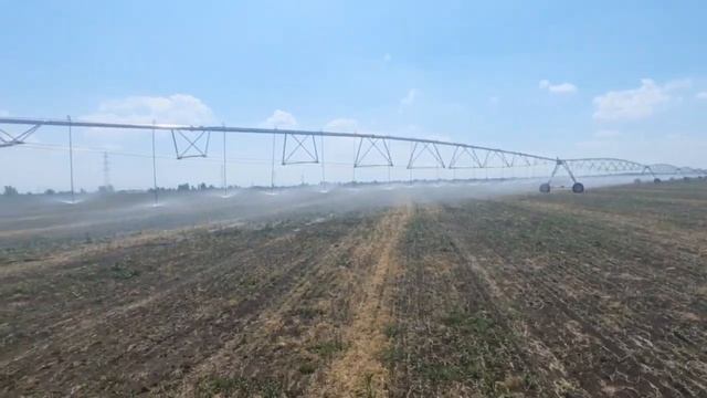 Дождевальная машина "Каскад" на поливе овощей. Июнь 2022 г. смотреть онлайн