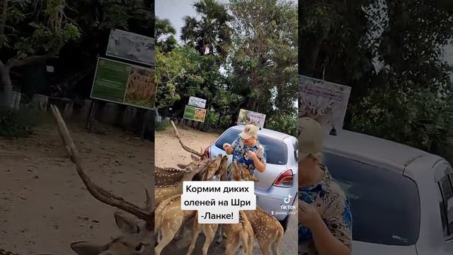 Своим ходом девочки рулят! смотреть онлайн