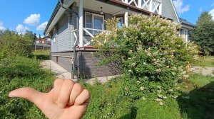 Что надо сделать, чтобы защитить подвал или цокольный этаж от сырости, влаги и грунтовых вод