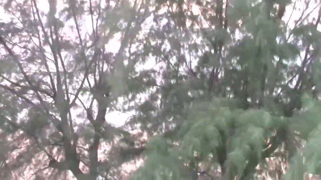 тайланд ч 4 2017г октябрь смотреть онлайн