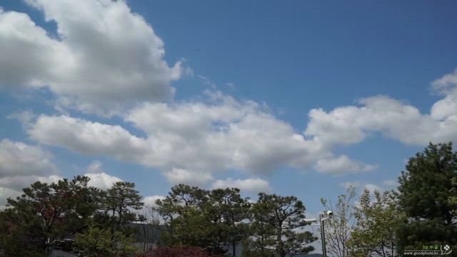 Tamron 24-70 USD + Kenko Zeta EX C-PL Test (2) смотреть онлайн