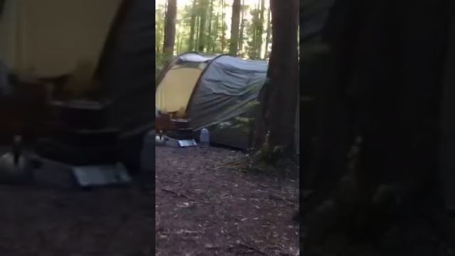 Начало отдыха на Дзержинском карьере в Подмосковье. Даша смотреть онлайн
