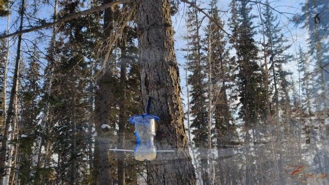 Олёкминск - март 2024 смотреть онлайн