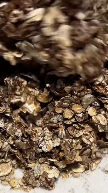 Вкуснейший завтрак за 10 минут смотреть онлайн