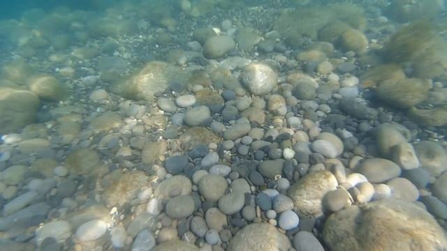 Гаспра 15.07.2021 смотреть онлайн