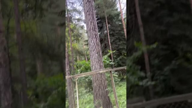 Отдых в Архызе⛰️ #архыз #кчр смотреть онлайн