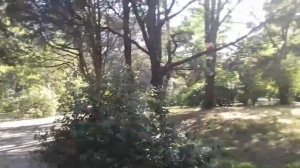 Парк санатория Крым...Партенит))