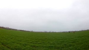 Коллективная охота на зайца в Запорожской области.