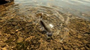 Рыбалка в Конаково