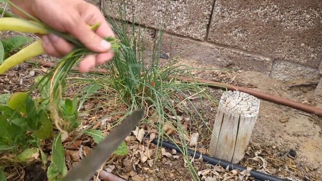 Волшебные путешествия по река