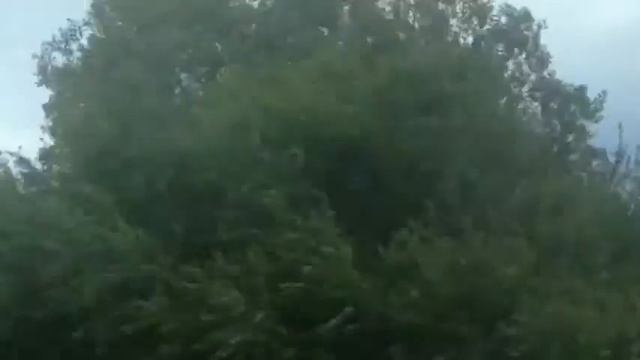 Канал о жизни в Румынии смотреть онлайн