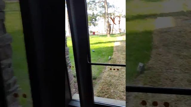 #ТУРЦИЯ #КЕМЕР #БОДРЫЙВЕЧЕР BsSrviceTravel #BestHolidays #SuenoDeluxe #NGHotels 05.05.2021 смотреть онлайн