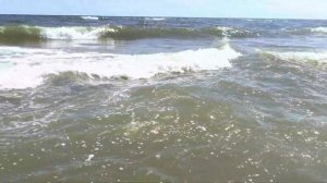 Затока, Одесская область, Украина / Zatoka, Odessa region, Ukraine