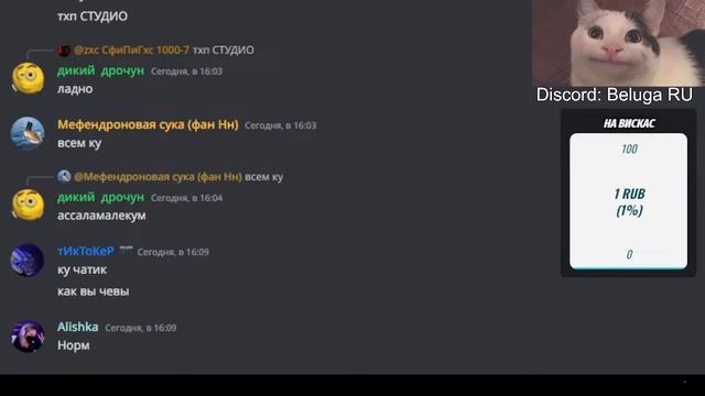 чат Discord Beluga