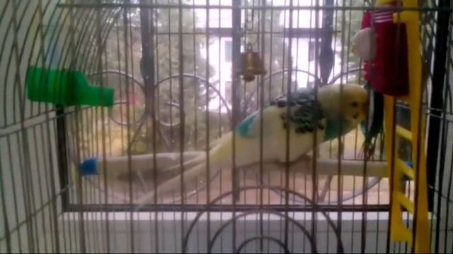 Фонарик Али экспресс и другая неудача смотреть онлайн